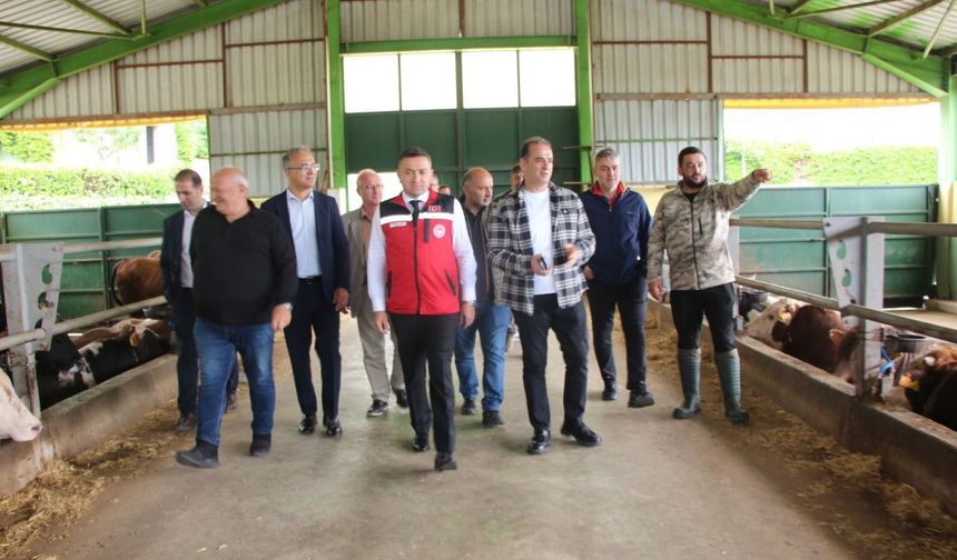 Bu yıl da vatandaşın tercihi Güleç Kardeşler oldu
