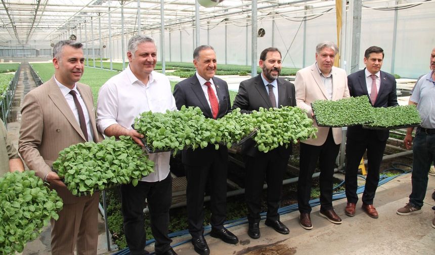 Çiftçiye 800 bin adet atalık tohum