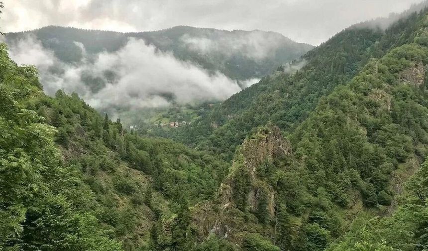 Yalova'da Ormanlarda Ateş Yakmak Yasak