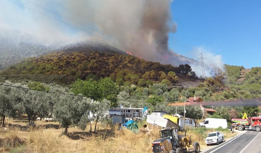 Armutlu’daki Orman Yangını Kontrol Altına Alındı