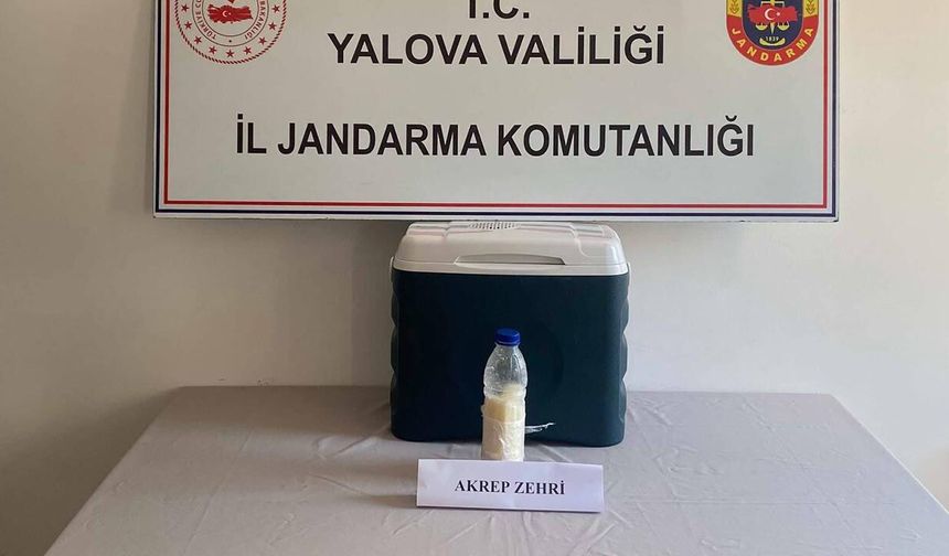 Yalova'da 5 Milyon Dolarlık Akrep Zehri Ele Geçirildi