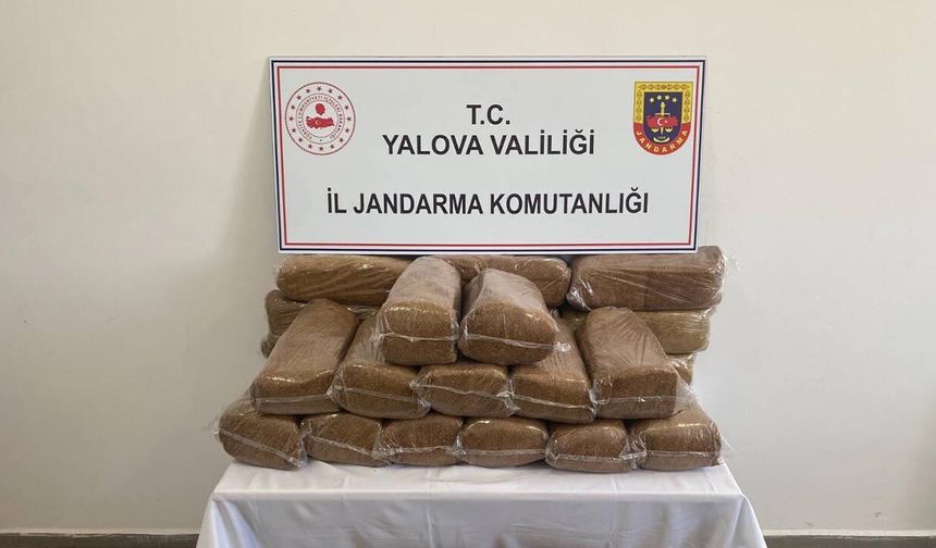 Yalova'da 160 Kilo Kaçak Tütün Ele Geçirildi