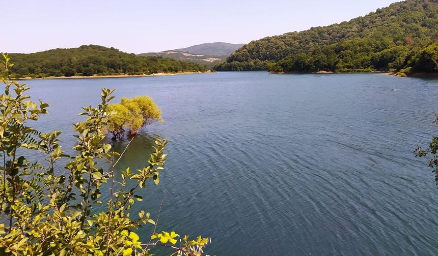 Yalova'nın "Can Damarı" Gökçe Barajı'nda Son Durum Ne?