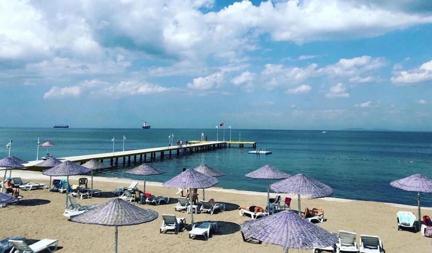 Yalova Sahillerinde Korkutan Tablo