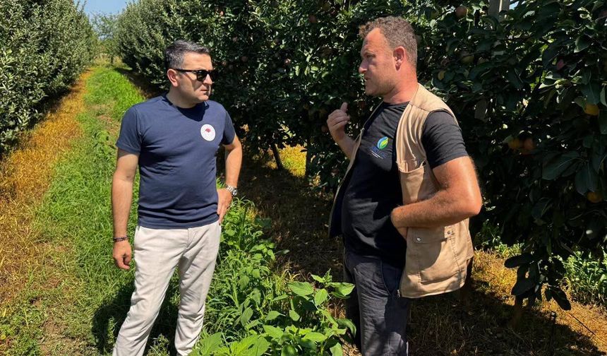 Yalova’da Kivide Kök Çürüklüğüne Karşı Sahada İnceleme
