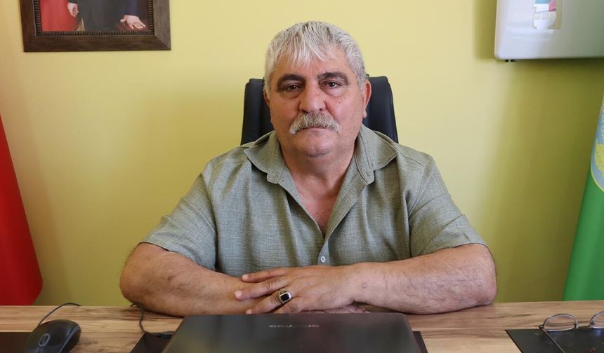 Yalova'da Yaban Domuzu Köylere İndi, Çiftçiler Endişeli!