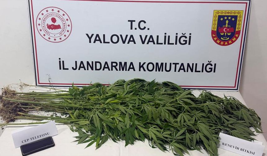 Yalova’da Madde Operasyonu