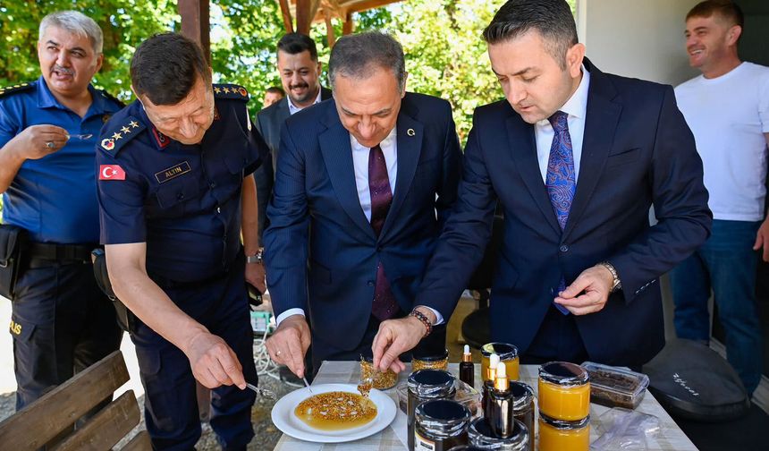 Vali Usta Yalova’da Arıcılık Çalışmalarını İnceledi