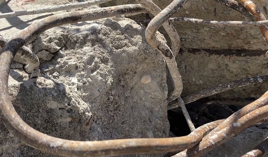 Maltepe’de Çöken Binanın Beton Örneklerinde Deniz Kabuğu Görüldü