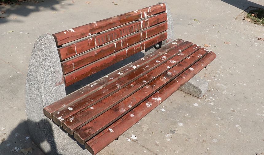 Yalova’da Banklar Oturulmasın Diye mi Konuldu?