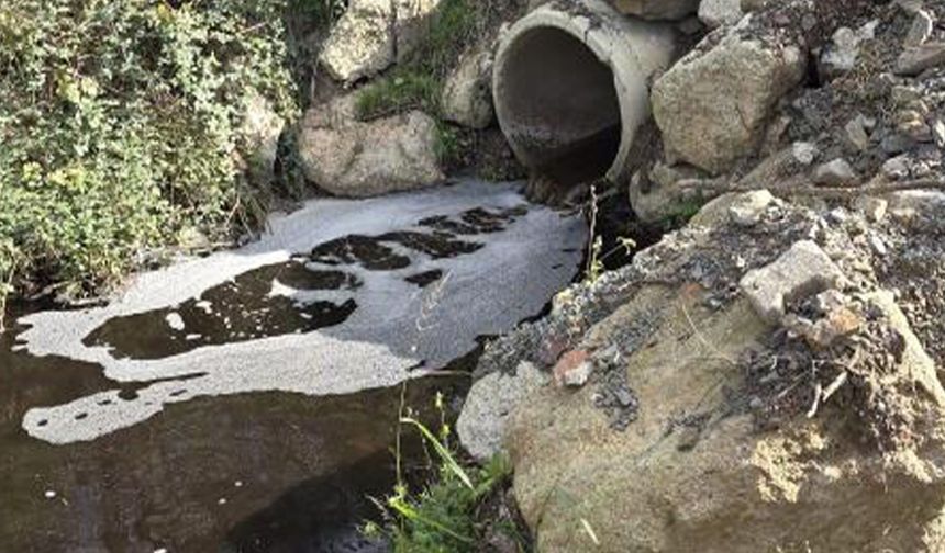 Yalova’da Deniz Kirliliğine 5 Milyon Liralık Ceza