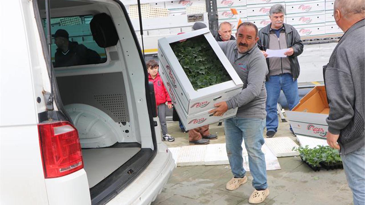 Çiftçilere biber ve hıyar fidesi dağıtıldı (3)