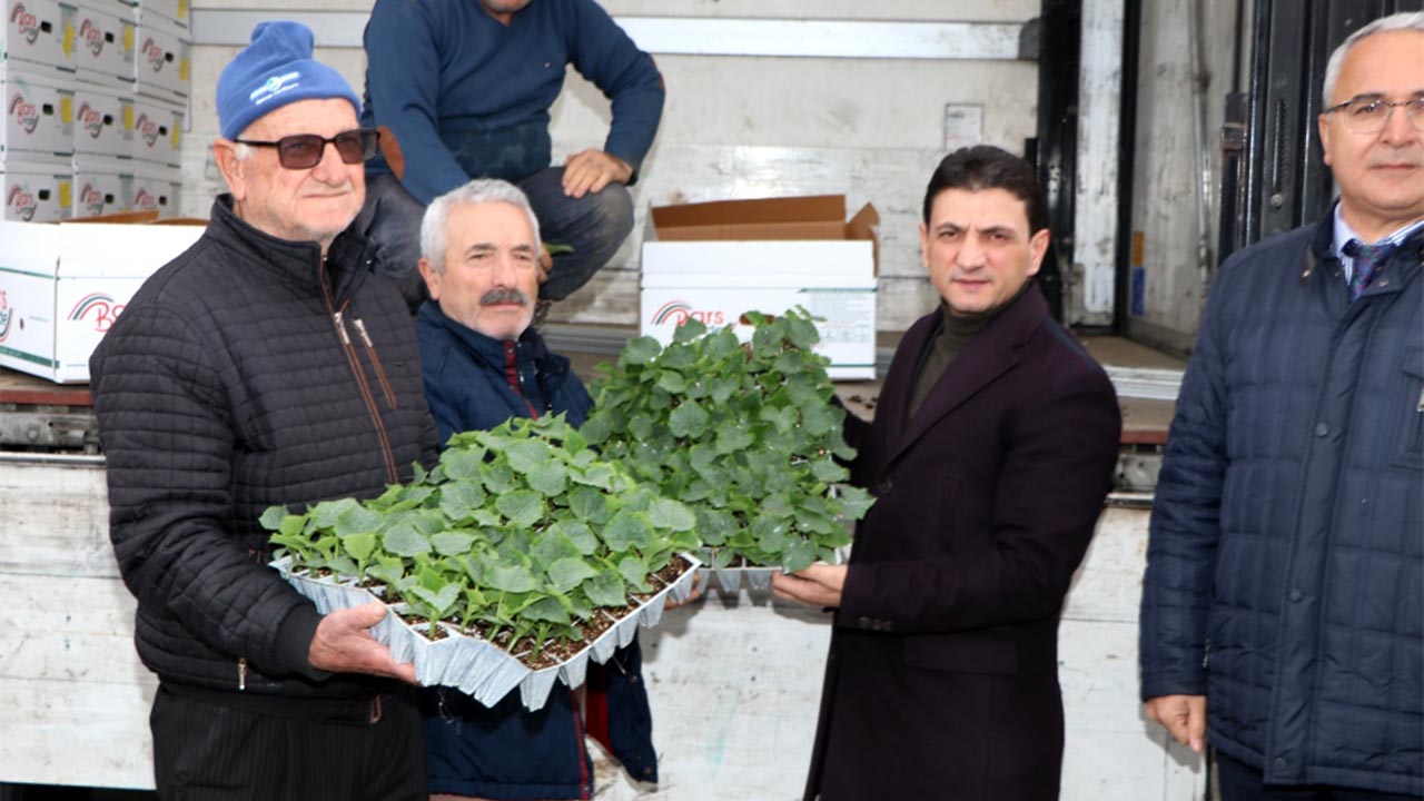 Yalova Sebze Üretimini Geliştirme 2