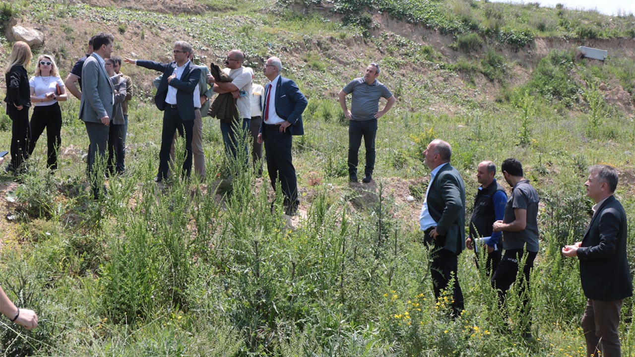 Çınarcık'ta Kayan Bölgelerde İnceleme Yapıldı (4)