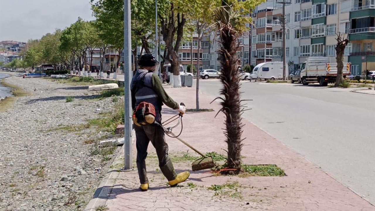 yabani ot temizliği 