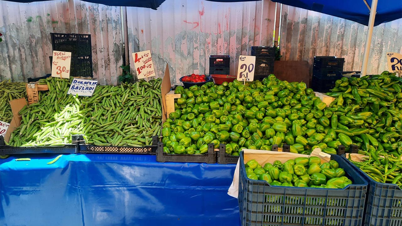 Yalova pazarı sebze ve meyve fiyatları (4)