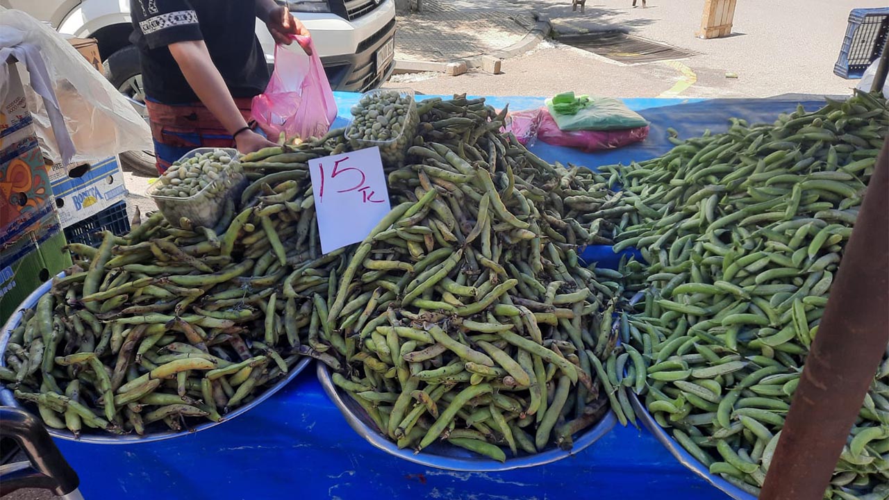 Yalova pazarı sebze ve meyve fiyatları (6)