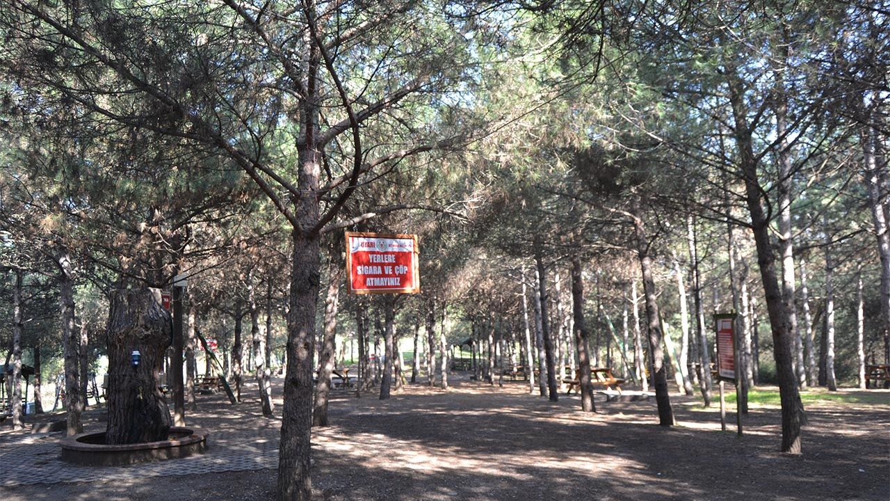 Altınova Belediyesi, 36 yaşında (6)