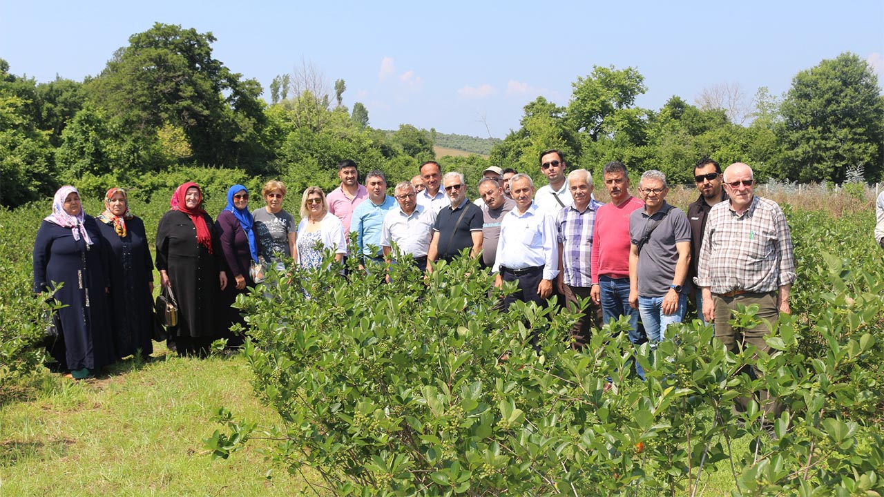 Çiftçilere Aronya Eğitimi