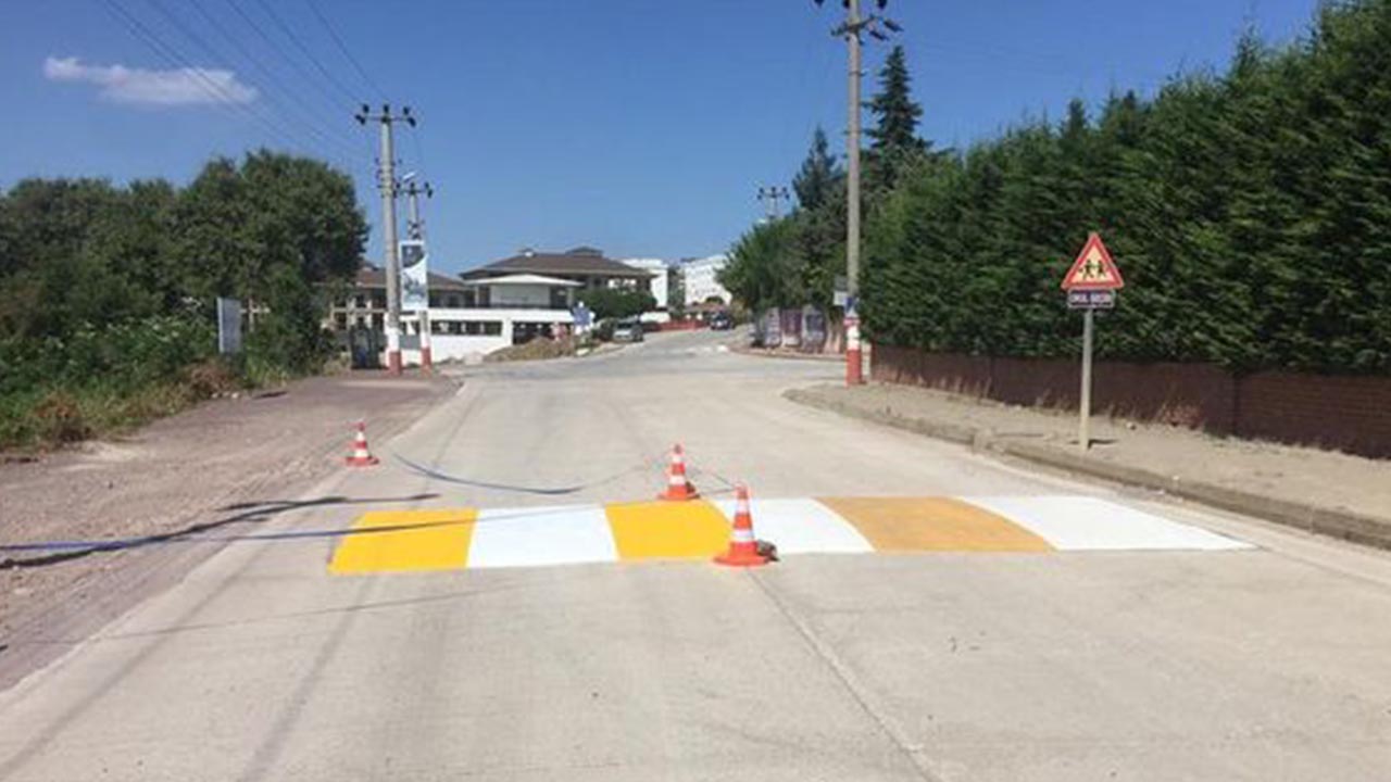 Kadıköy'de Kasisler Yenileniyor