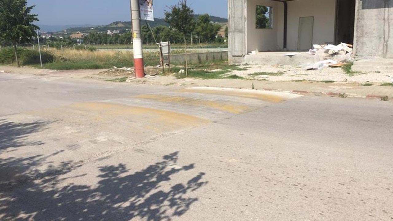 Kadıköy'de Kasisler Yenileniyor2