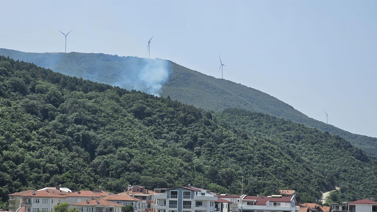 Esenköy Orman Yangını (1)