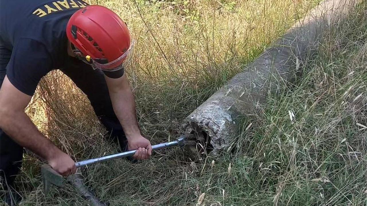 Yalova’da boru içinde mahsur kalan kaplumbağa kurtarıldı (1)