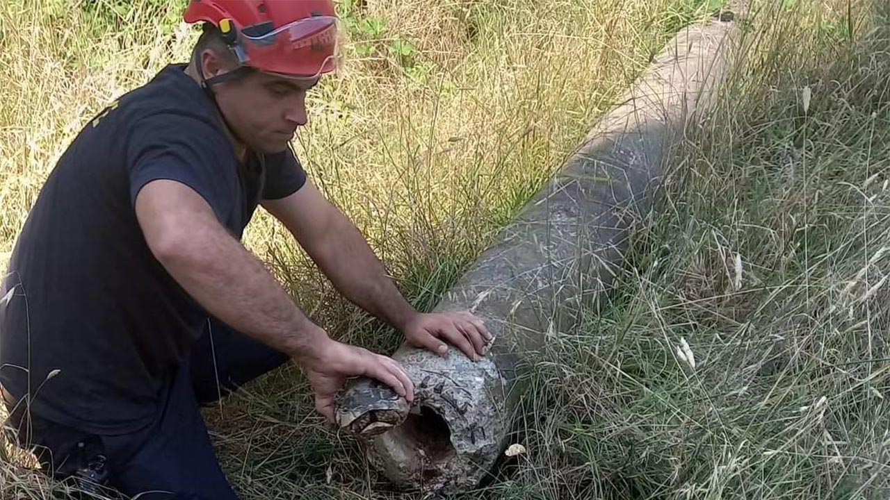 Yalova’da boru içinde mahsur kalan kaplumbağa kurtarıldı (3)