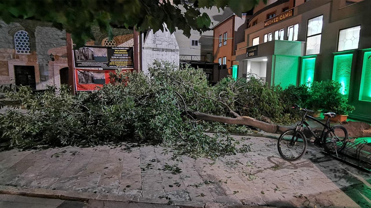 Yalova’da üzerine ağaç dalı düşen çocuk yaralandı (5)