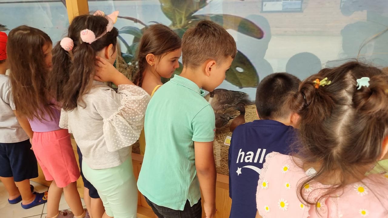 miniköğrencilerkuşlarahayran (2)