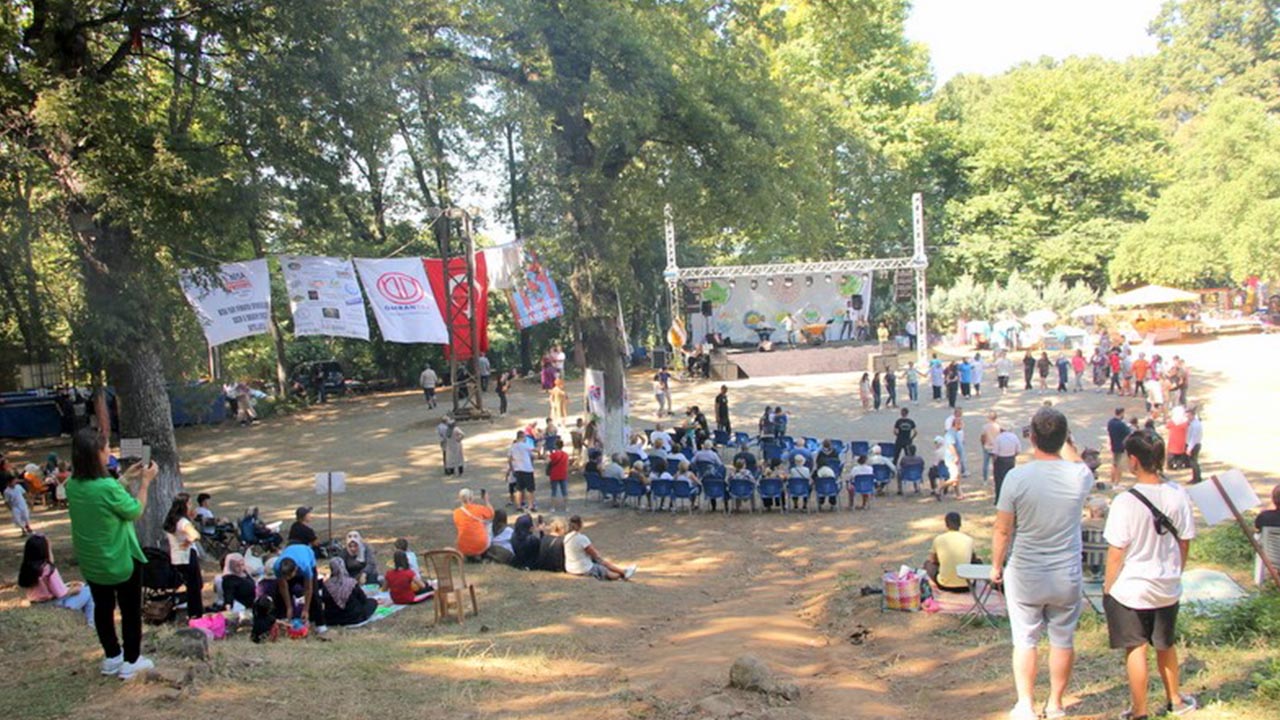 Çınarcık'ta Karadeniz Şenlikleri etkinliği (4)