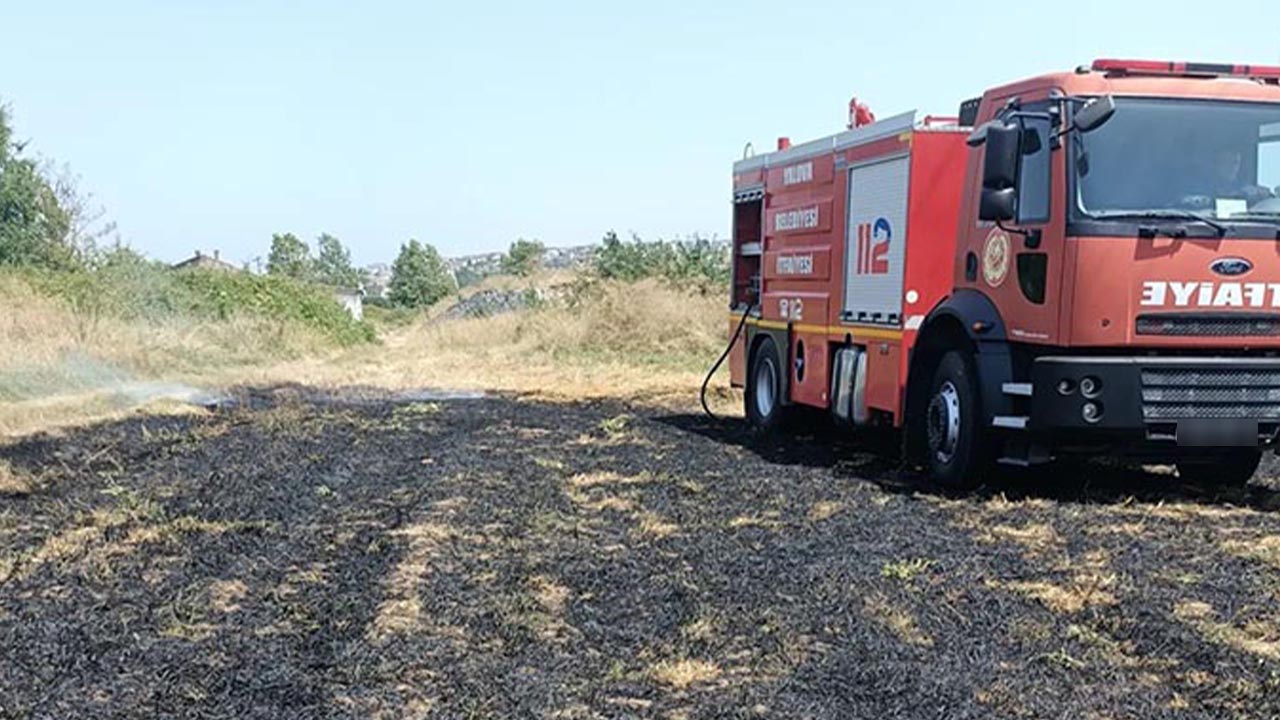 Elektrik tellerine çarpan kuş anız yangını çıkardı (2)