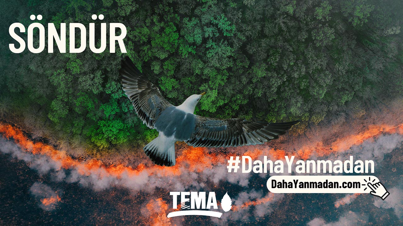 Orman yangınlarını önlemek söndürmekten daha kolay (1)