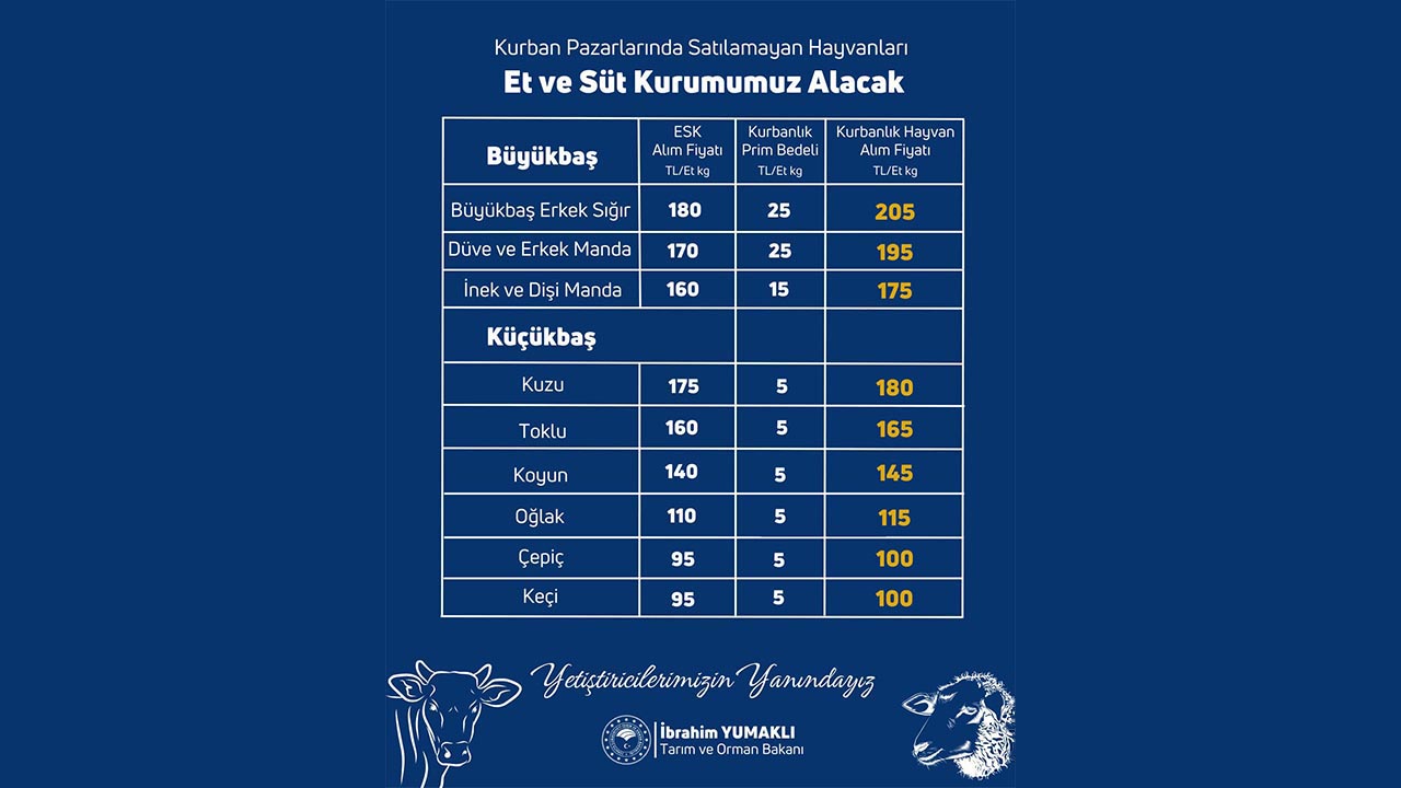 Pazarda Satılamayan Hayvanları Et ve Süt Kurumu Alacak2