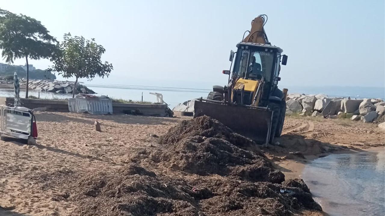 Armutlu Belediyesi’nden sahil temizlik çalışmaları (5)