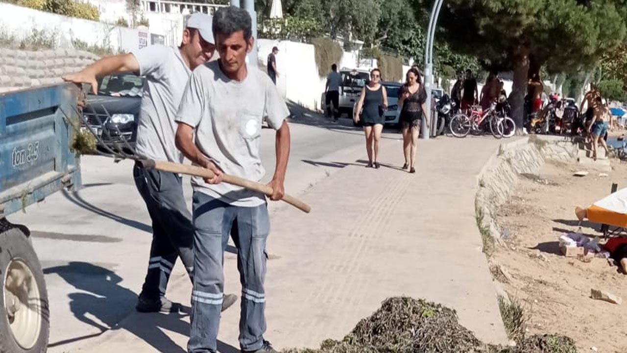 Armutlu Belediyesi’nden sahil temizlik çalışmaları (6)