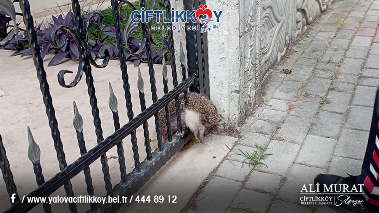 Başkan Silpagar, halka duyarlılık çağrısında bulundu (2)