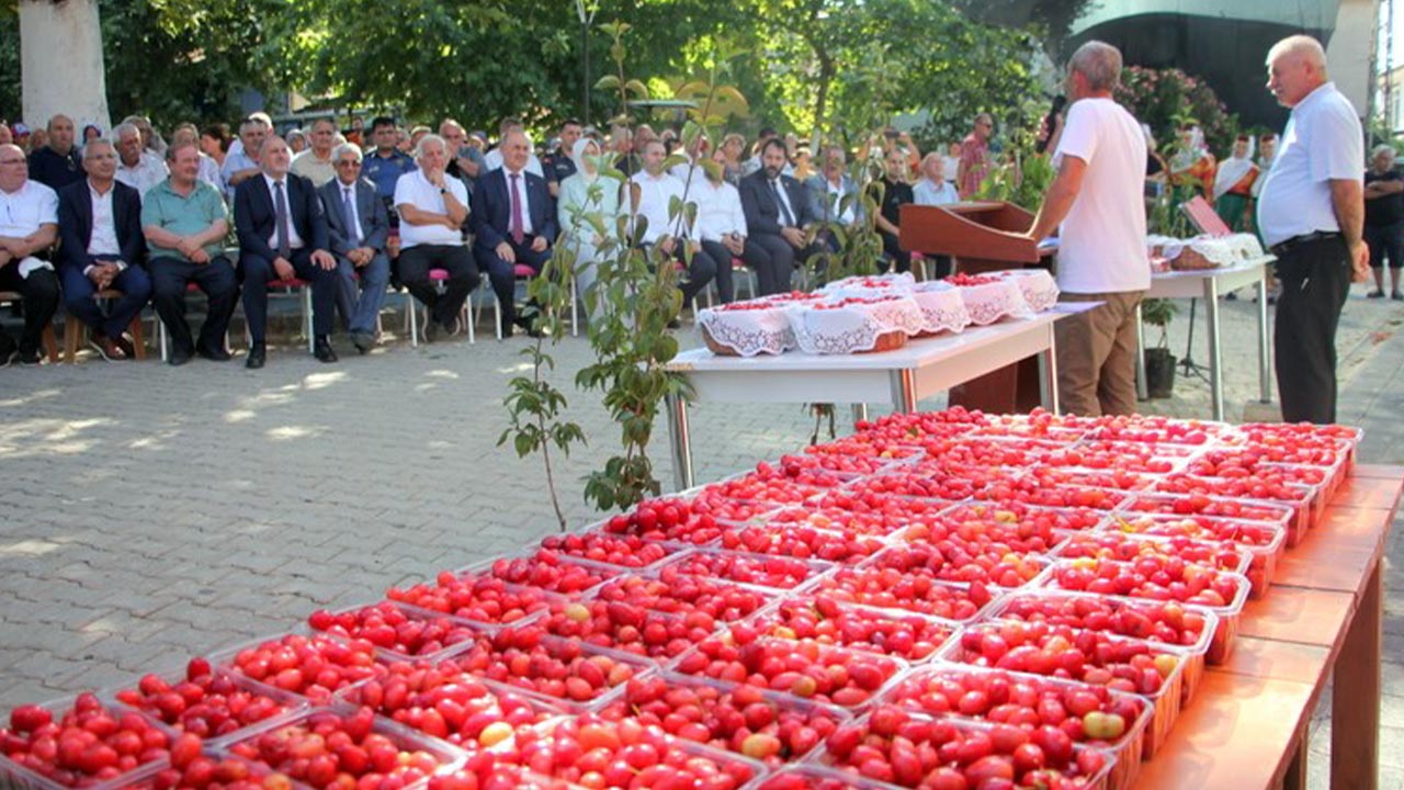 16. Şenköy Kızılcık Şenliği renkli görüntülere sahne oldu (1)