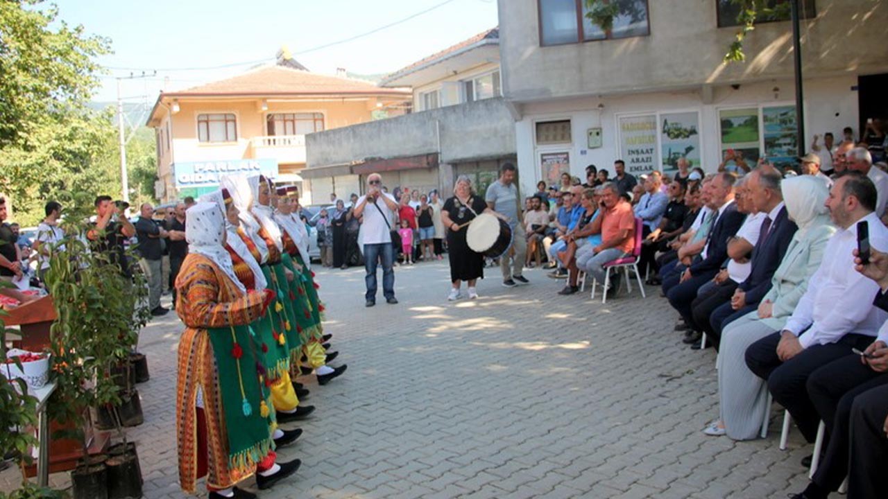 16. Şenköy Kızılcık Şenliği renkli görüntülere sahne oldu (2)