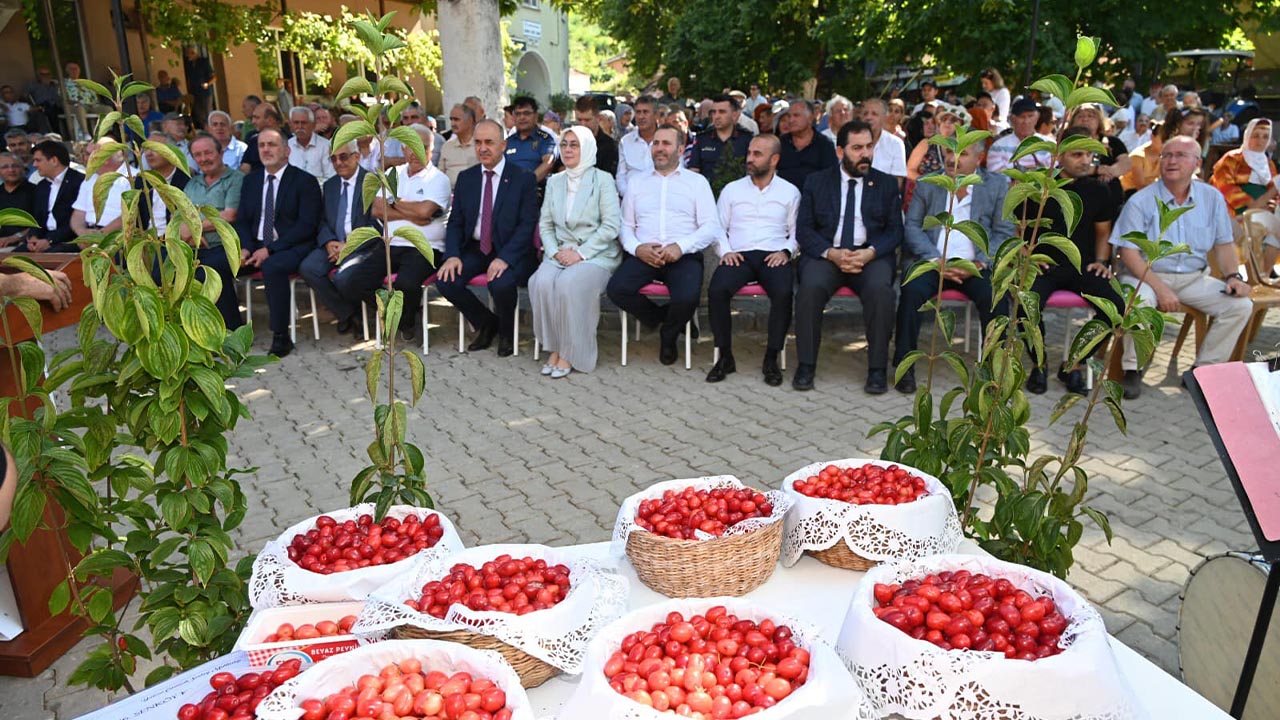 AK Parti’li vekilden Kızılcık Şenliği paylaşımı (1)