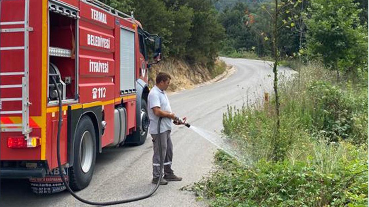 Termal, Yeşilliğine Yeşillik Katıyor  (2)