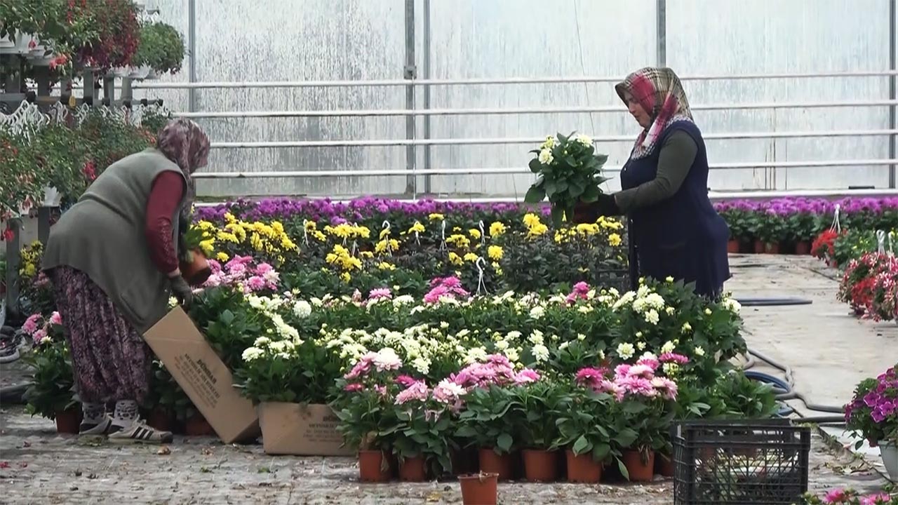 Yalova'nın 7 aylık ihracatı 268 milyon dolara ulaştı (3)