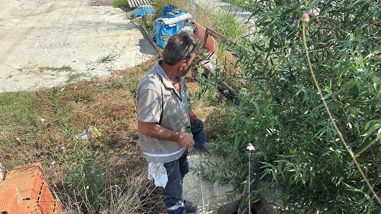 Kadıköy Belediyesi’nden çevre düzenleme çalışması (5)