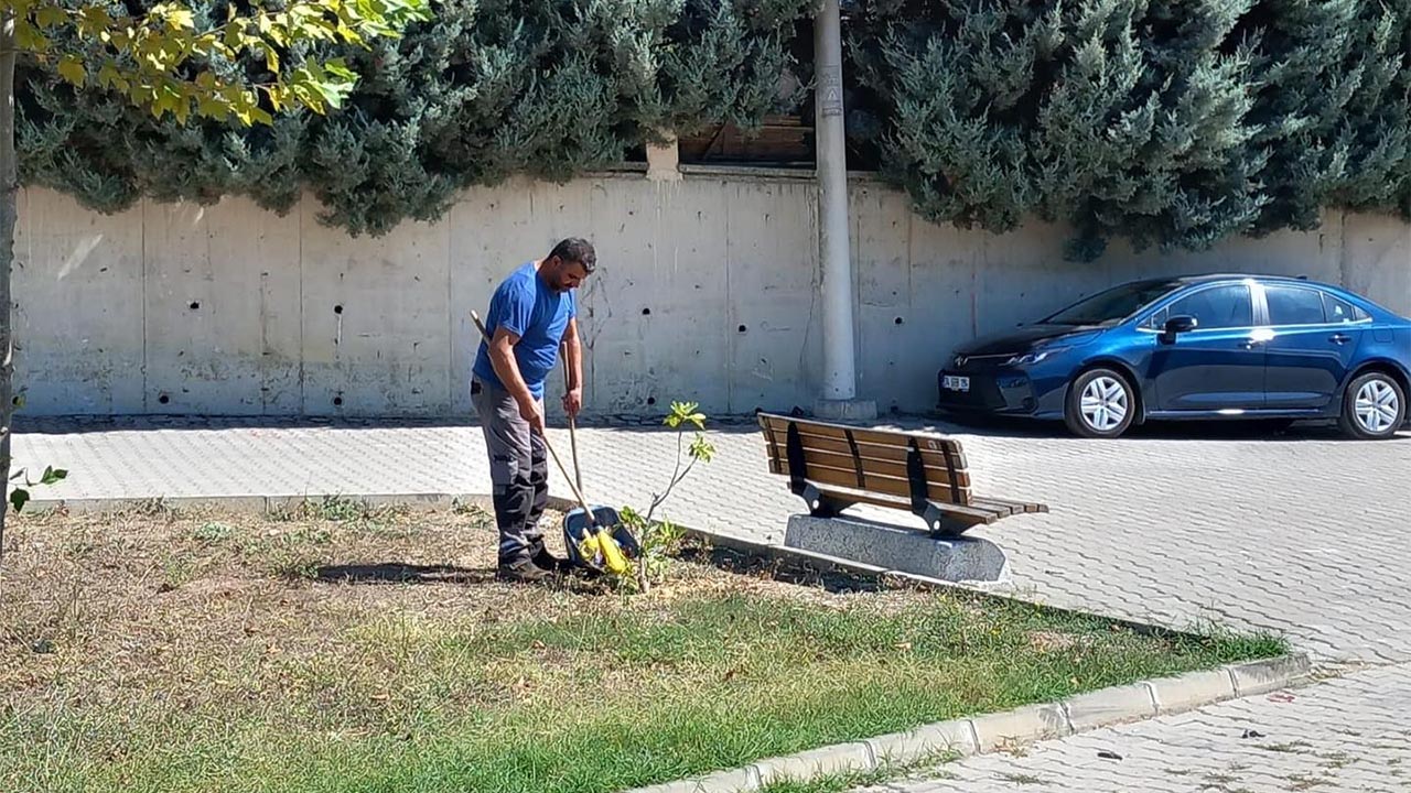 Kadıköy Belediyesi’nden çevre temizleme çalışması (1)-1