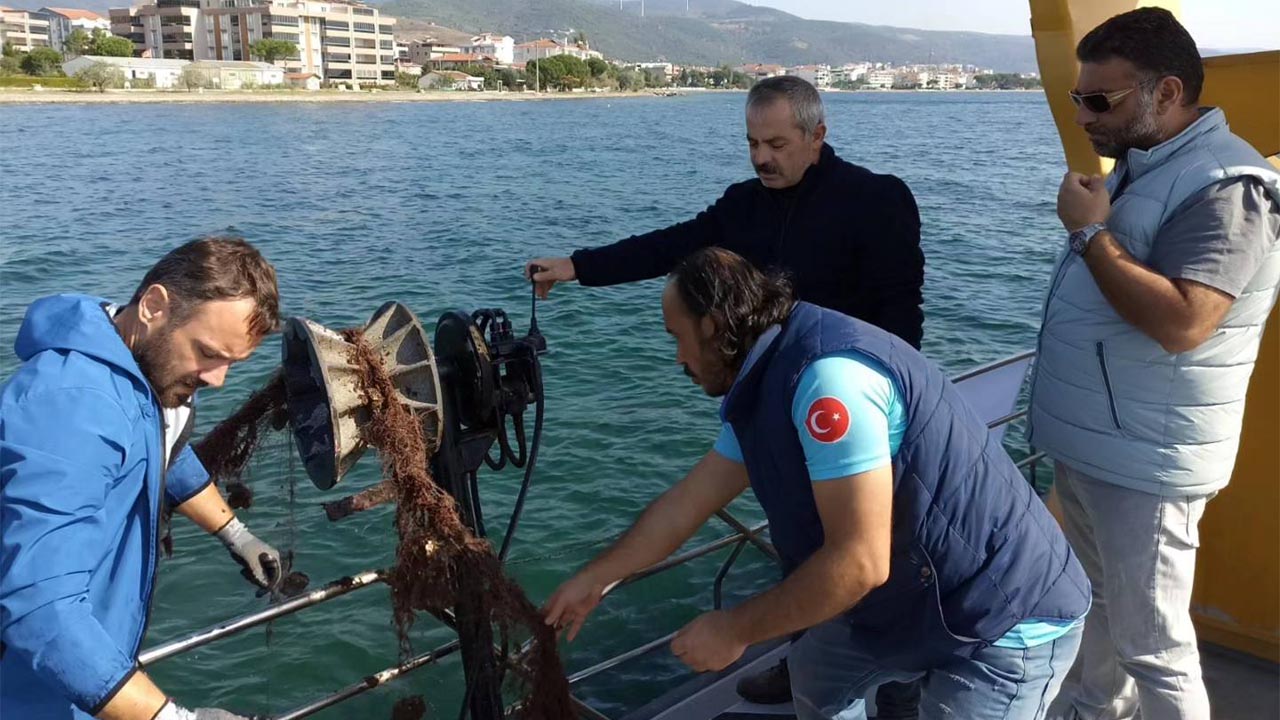 yalova-universite-tarim-orman-müdürlük-bakanlik-hayalet-ag-temizlik-marmara3