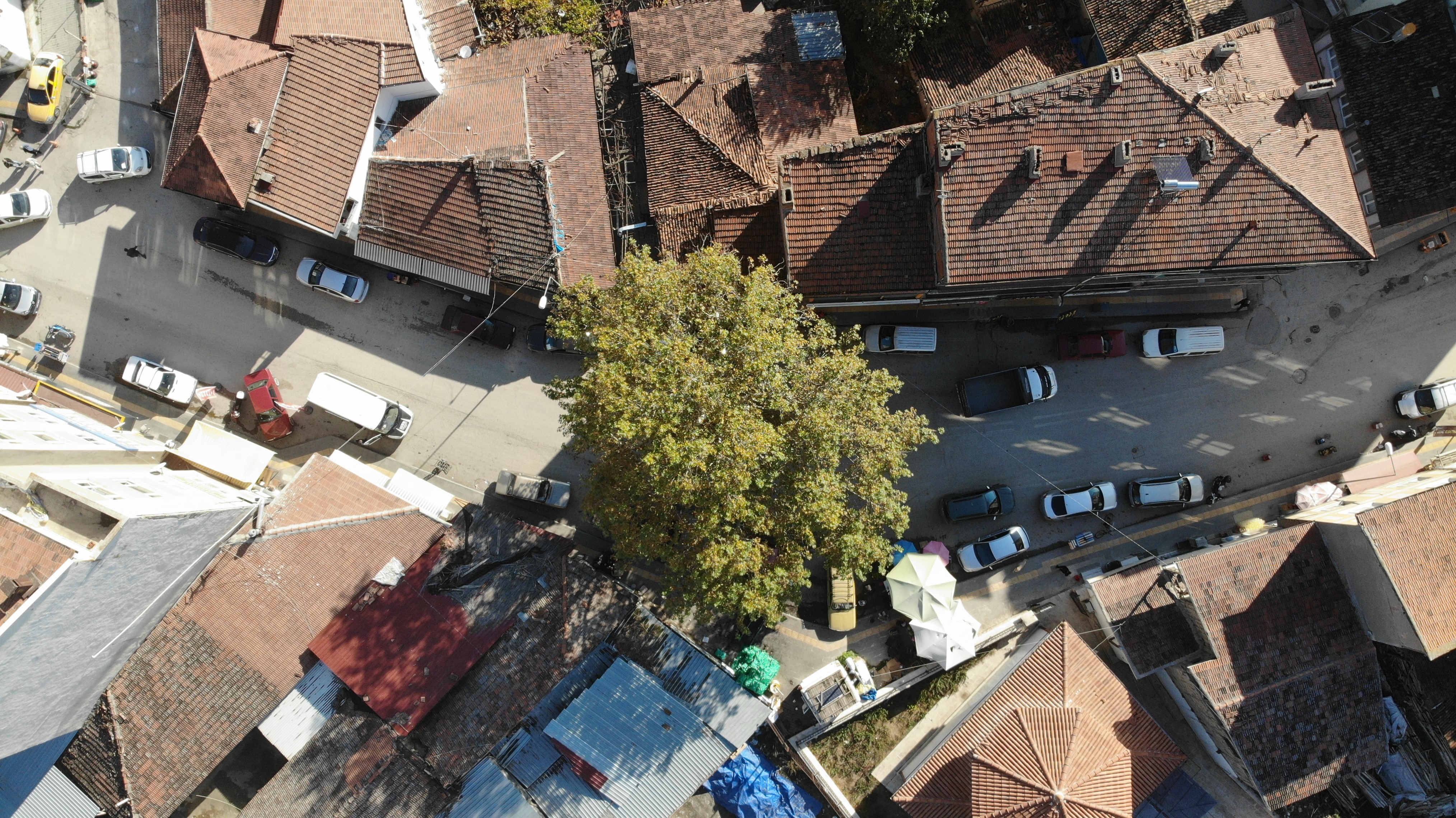 Geçmişte darağacı olarak kullanıldı, günümüzde ilçenin simgesi oldu (4)