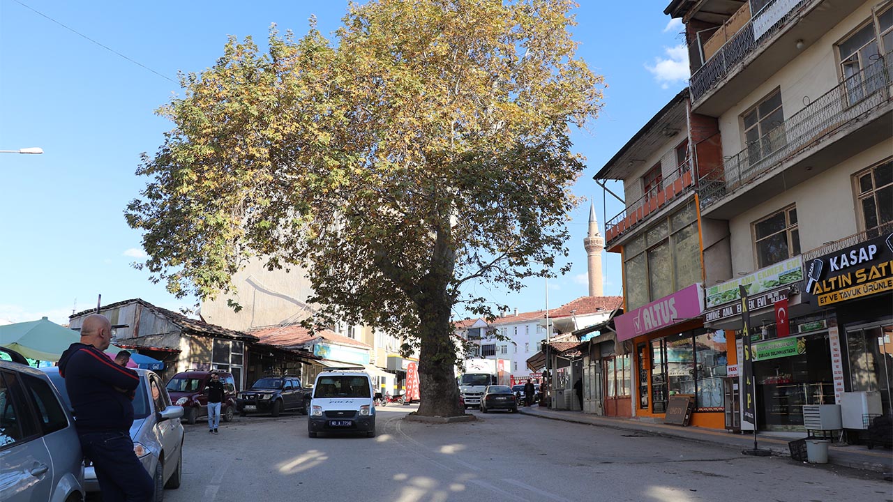 Geçmişte darağacı olarak kullanıldı, günümüzde ilçenin simgesi oldu (7)