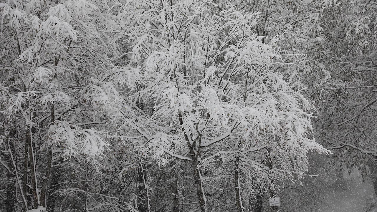 akyazi-keramali-yayla-uludag (1)