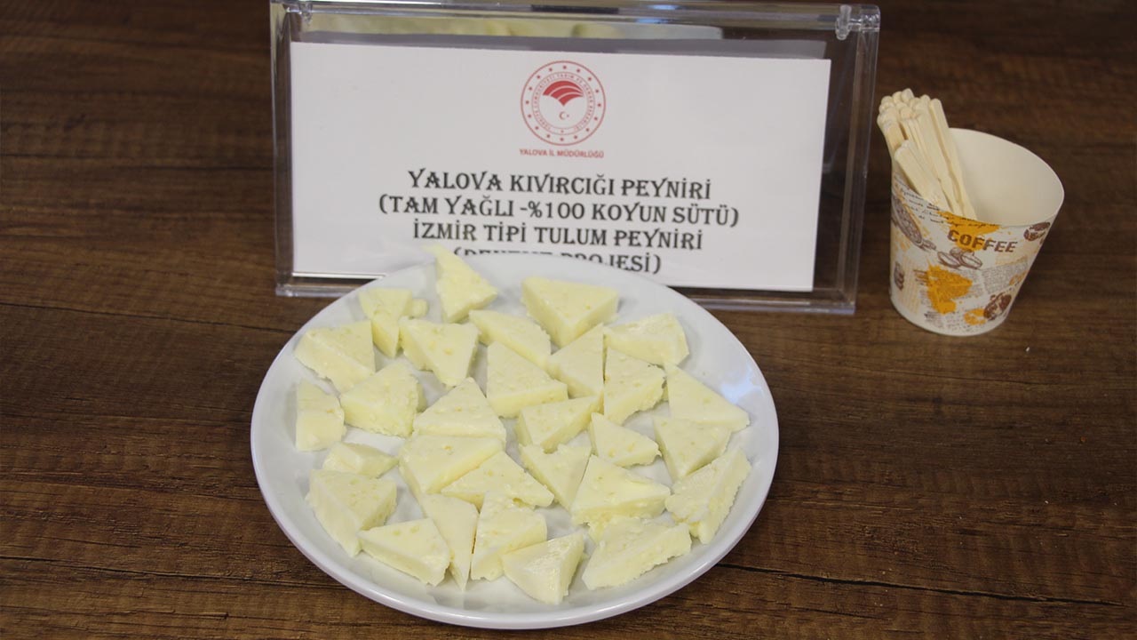 yalova-gastronomi-panel-vali-yemek (8)