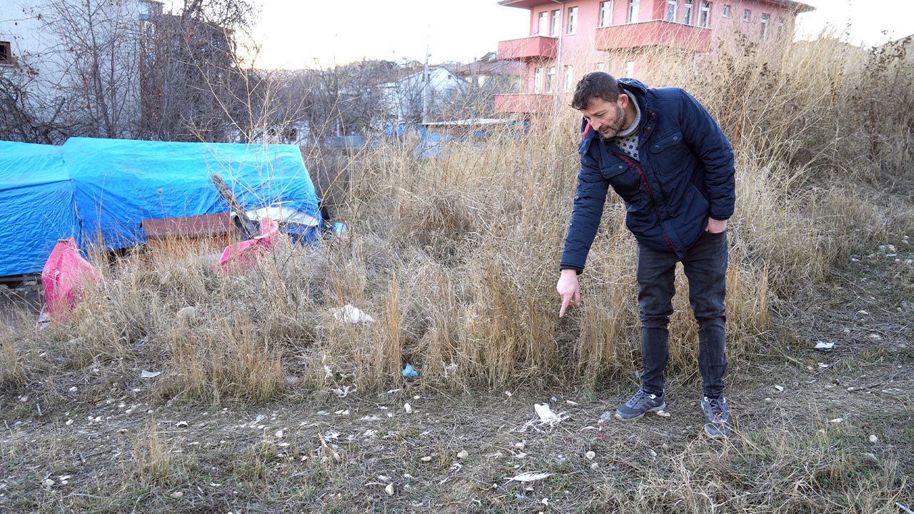 40 tavuğu telef eden sokak köpekleri, 3 yıldır emek veren kadının hayallerini kararttı (5)